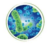 Microbe picture